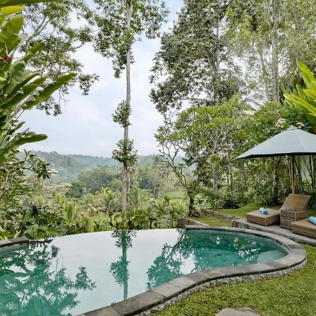 Anandari Ubud Villa エクステリア 写真